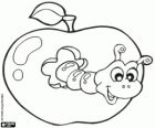 Gusano en una manzana