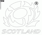 Logo del equipo nacional de rugby de Escocia, los 15 del cardo. Emblema, el cardo
