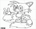 Rompecabezas de Miles Prower, Tails es un zorro con dos colas que puede volar
