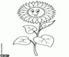 Girasol