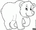 Oso blanco, oso polar