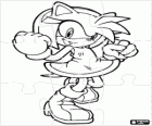 Puzzle de Amy Rose, la novia de Sonic