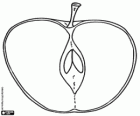 Una manzana partida por la mitad, sección de la fruta