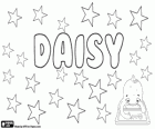 Daisy, su origen es el nombre en inglés de una flor, la margarita