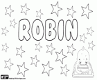 Robin, nombre con diversos orígenes y significados. Robin, nombre en varios idiomas
