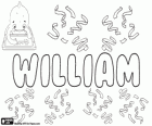 William, nombre de origen germánico. Su significado es el que protege