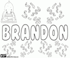 Brandon, nombre de origen inglés. Originalmente era un apellido que significa Colina cubierta de hiniesta