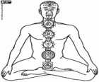 Los chakras, los centros de energía inmensurable del cuerpo humano según el hinduismo