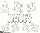 Haley, nombre de origen inglés. Su significado es prado de heno
