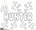 Hunter, nombre de origen inglés. Su significado es cazador, perseguidor