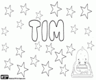 Tim, una forma abreviada del nombre Timothy. Tim, nombre diminutivo utilizado en varios idiomas como inglés y alemán entre otros
