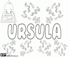 Úrsula, nombre de origen latino. Su significado es la pequeña osa