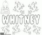 Whitney, nombre de origen inglés. Su significado es isla blanca