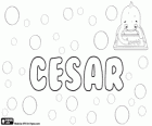 César, nombre de origen latino. Proviene del apodo latino Caesar