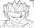 La cara de Gohan Místico, Gohan Definitivo