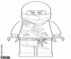Un guerrero ninja, Lego Ninjago