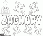 Zachary, nombre de origen hebreo. Su significado es Dios ha recordado