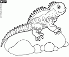 Lagarto