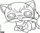 Un gatito con bufanda, Littlest PetShop