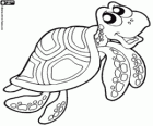 Tortuga de agua dulce