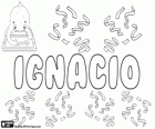 Ignacio, nombre con diversos orígenes y significados. Ignacio de Loyola, fundador de la Compañia de Jesús, los jesuitas
