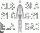 Día Mundial contra el ELA, 21 de junio. La esclerosis lateral amiotrófica es una enfermedad neurodegenerativa