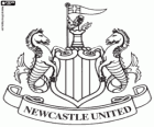 Logo del Newcastle United F.C.. Club de fútbol con sede en Newcastle upon Tyne. También conocido como The Magpies, The Toon y Geordies