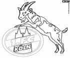 Escudo de 1. FC Köln. Club de fútbol de la ciudad de Colonia, Renania del Norte-Westfalia