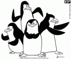 El grupo de pingüinos preparados para la acción. Los pingüinos de Madagascar
