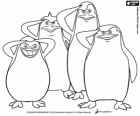 Los pingüinos de Madagascar y el saludo militar