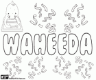 Waheeda, nombre de origen árabe. Waheeda, nombre para niña