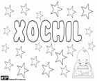 Xóchil, variante del nombre nahuatl Xóchilt. Su significado es flor