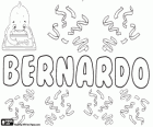 Bernardo, forma latina del nombre germánico Bernhard. Su significado es fuerte como un oso. Bernardo, nombre masculino en español, portugués e italiano