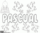 Pascual, nombre para niño de origen latino. Proviene de Paschalis, cuyo significado es relativo a la Pascua 