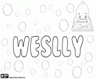 Weslly, nombre de origen desconocido. Parece ser una variante de Wesley