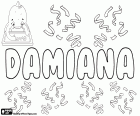 Damiana, nombre de origen latino y griego. Derivado del latino Damianus que proviene del griego Damianos. Forma femenina de Damián