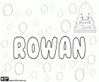 Rowan, nombre irlandés e inglés. Rowan, nombre para niño que se utiliza también para niña
