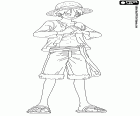 El capitán Monkey D. Luffy con su famoso sombrero de paja en la cabeza en One Piece New World, Nuevo Mundo