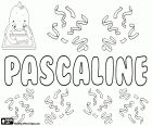 Pascaline, nombre francés para niña. Pascaline, variante de Pascale, forma femenina de Pascal. Todos estos son nombres derivados del latino Paschalis que significa pascual, relacionado con la Pascua
