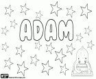 Adam, nombre masculino de origen bíblico, nombre del primer hombre creado por Dios, Adán. Adam, nombre en muchas lenguas que proviene de la misma palabra hebrea que significa hombre o ser humano