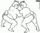 Un combate de sumo, la lucha japonés. El área de combate es de forma circular hecha de arcilla y arena y se llama dohyō