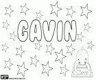 Gavin, nombre masculino en inglés, francés y escocés que proviene del nombre medieval Gawain