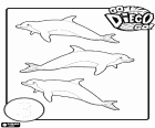 Diego y sus tres delfines para aprender el número 3
