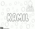 Kamil, nombre de origen latino para niño en diferentes idiomas, derivado del nombre romano Camillus, nombre en polaco, checo y eslovaco. Kamil, nombre masculino de origen árabe, variante de Kamal o Kamel