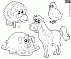 Un grupo de cuatro animales de la granja. En esta imagen para colorear hay una oveja, un pollito, un cerdo en el barro y un caballo
