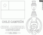 Chile, bicampeón de la Copa América 2015 y 2016. La selección de fútbol de Chile es el campeón de la Copa América del Centenario 2016, ha derrotado a Argentina en los lanzamientos de penaltis, el resultado del partido ha sido 0-0. Los chilenos Alexis Sánchez ha sido el mejor jugador del torneo, Claudio Bravo ha sido el mejor portero y Eduardo Vargas ha sido el máximo goleador