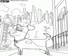 En este dibujo para colorear el perro Max está en la acera de una calle de Manhattan, Nueva York. La vida secreta de las mascotas