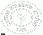 Logo de Çaykur Rizespor Kulübü, Çaykur Rize Spor Kulübü, club deportivo de Rize, ciudad costera en el este de la región del Mar Negro y capital de la provincia homónima