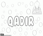 Qadir, nombre masculino de origen árabe, variante de nombres como Kadir, Kader, Qader y Ghader entre otros