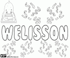 Welisson, nombre masculino de origen desconocido utilizado en Brasil, variante de Wellisson y Welison